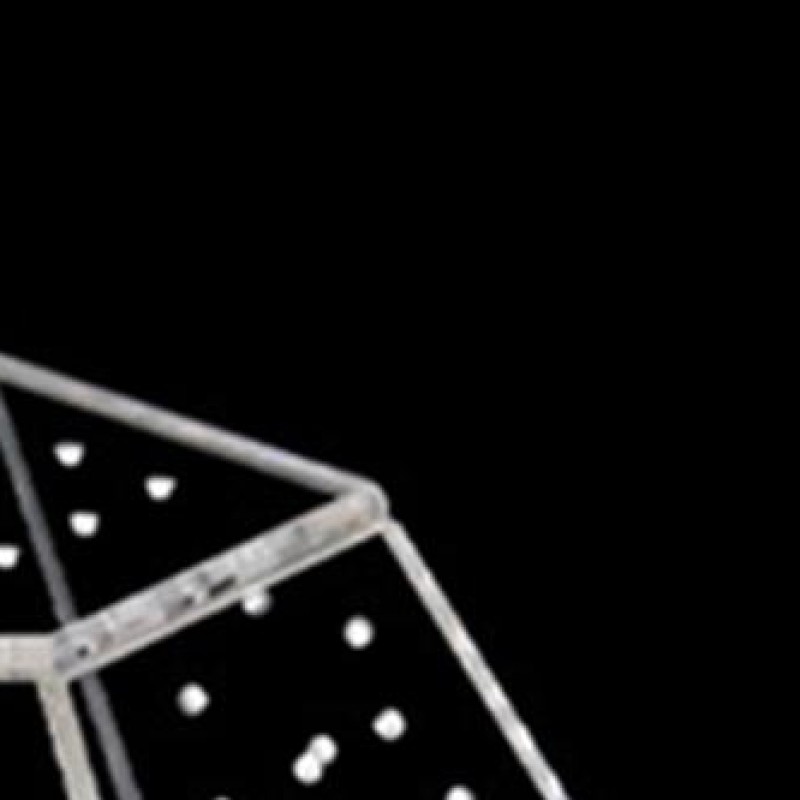 ハエトリグモのエンクロージャ アクリル亀のエンクロージャ クモ用の換気された爬虫類飼育ボックス タランチュラ カタツムリ トカゲ 爬虫類