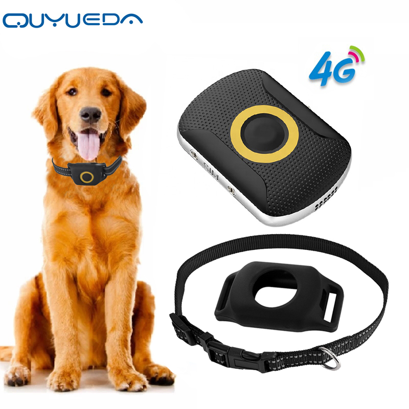 4 グラムペット GPS トラッカー防水犬 GPS 追跡首輪ミニ猫紛失防止アラームロケーターサポートジオフェンス SOS スマートキッズロケーター