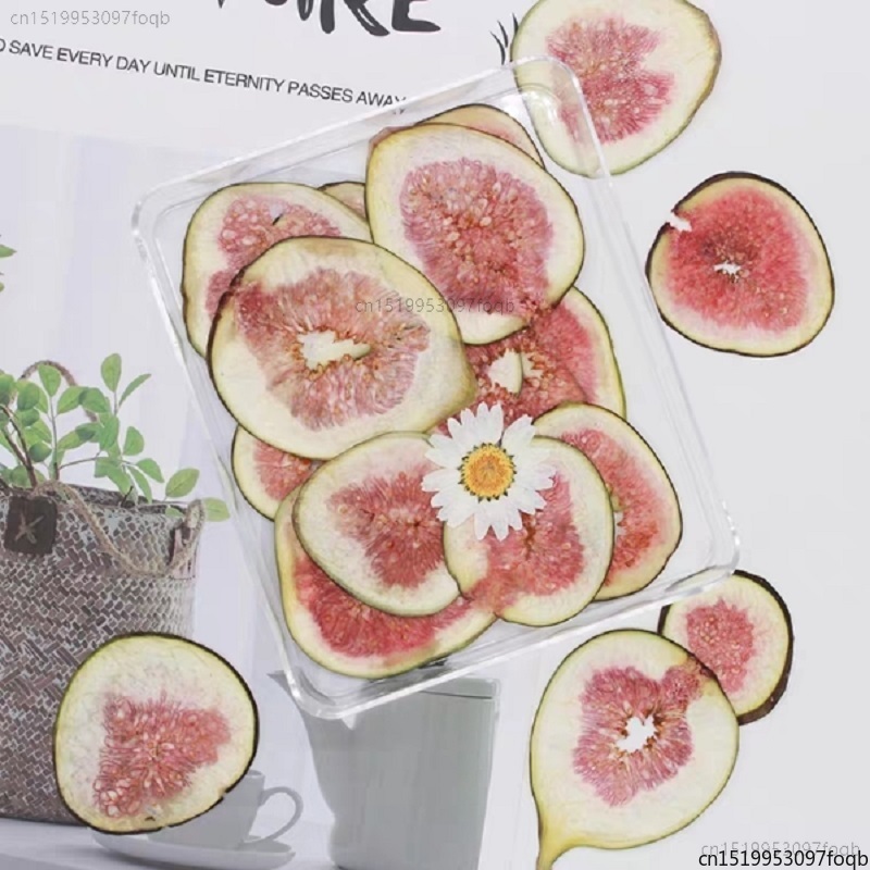 10pcs Pressed Dried Turkey Fig Slices Fruit Plant Herbarium For Jewelry Postcard Invitation Card Phone Case Bookmark Making DIY