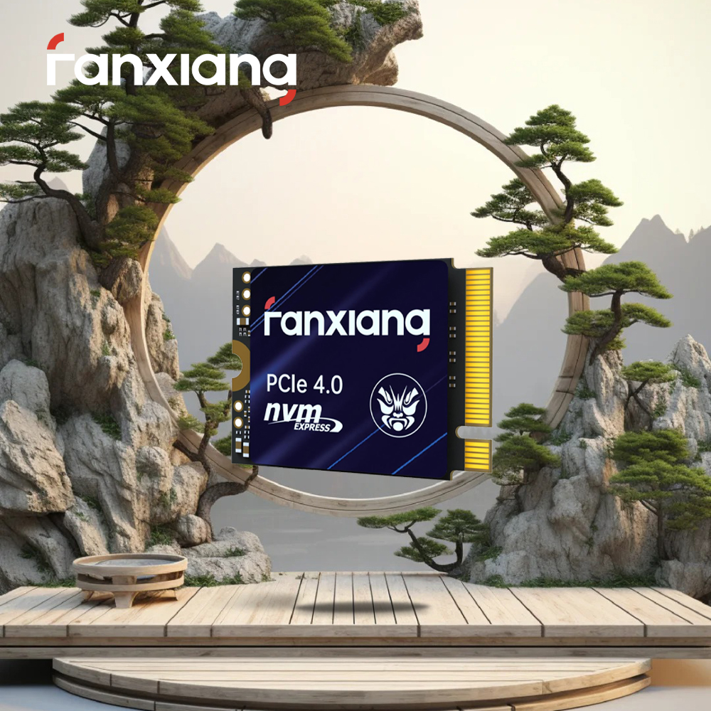 Fanxiang M.2 SSD ハードディスク 500 ギガバイト 1 テラバイト 5000 メガバイト/秒 NVMe M.2 2230 SSD PCIE4.0 内蔵ソリッドステートドライブ EU 米国現地配送 S700
