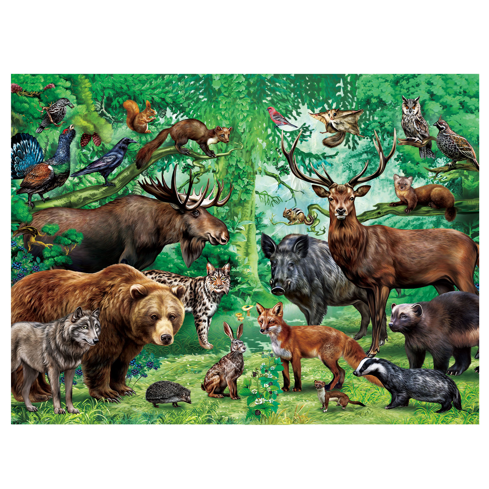 子供向けパズル、両面100ピースパズル、2 in 1パズル、野生動物、学習教育用ジグソーパズルおもちゃ