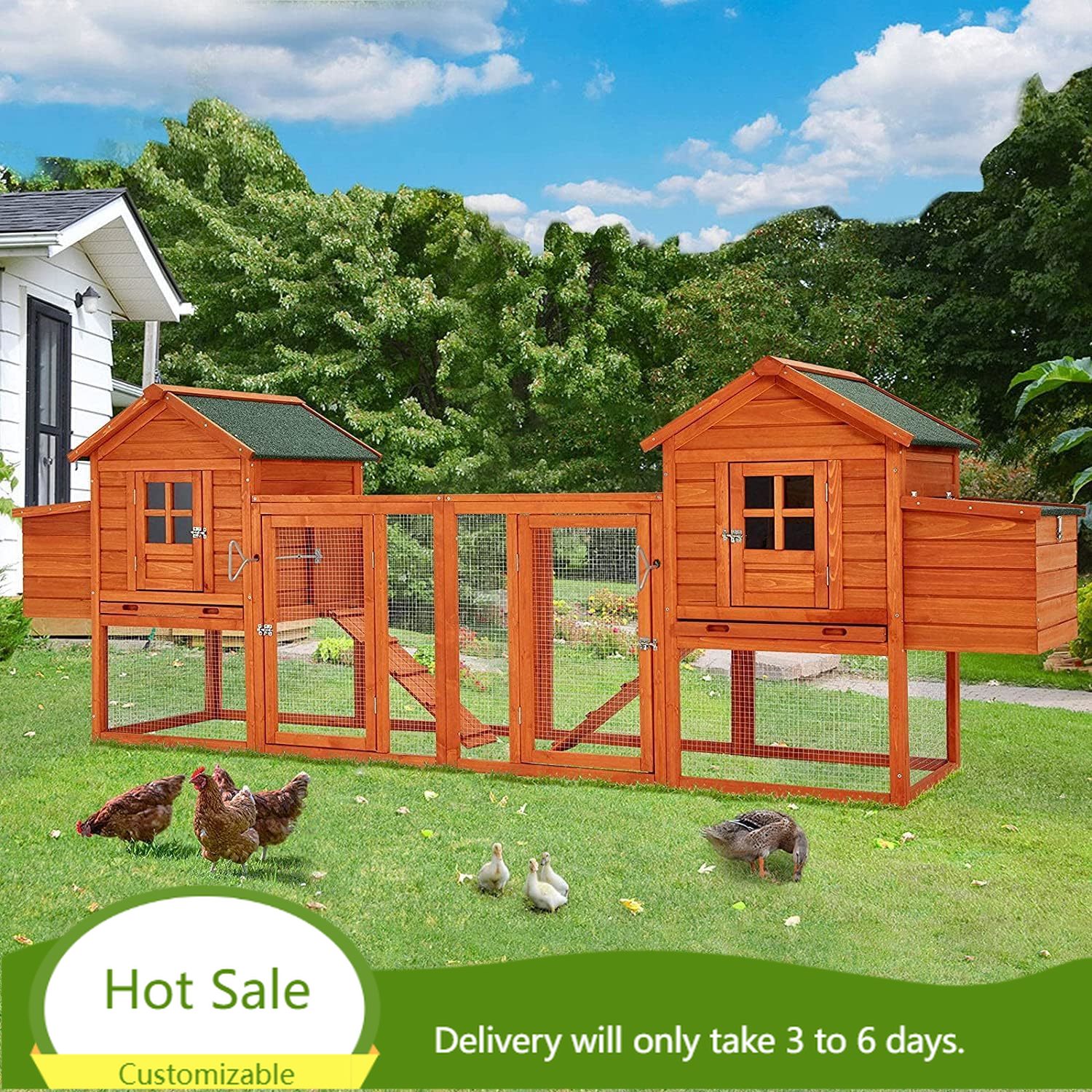 123 インチ鶏小屋 10 羽用、大型 走り付き、巣箱 4 つ