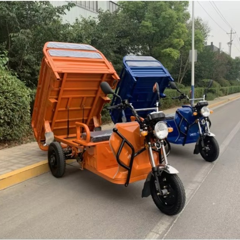 大人用1000W電動三輪車超長距離農業輸送商業貨物三輪車/自転車/オートバイ