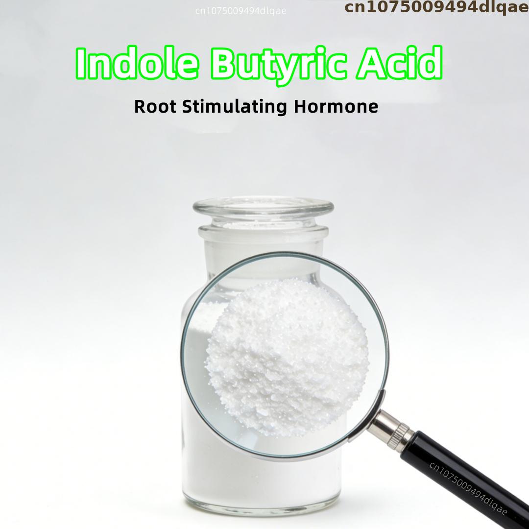 98% Purity IBA Indole-3-butyric Acid Root Stimulating Hormone Indole Butyric Acid Plant Growth Regulator Auxin Rooting Powder