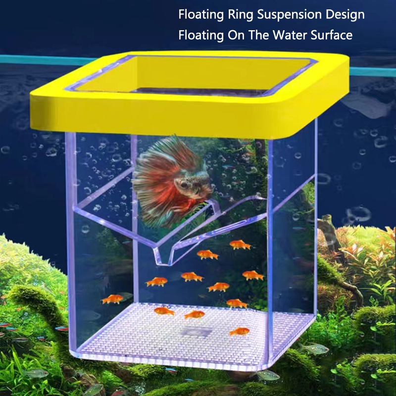 アクリル浮遊魚飼育隔離ボックス水族館ブリーダーフィーダー水槽孵化インキュベーター水族館孵化場アクセサリー