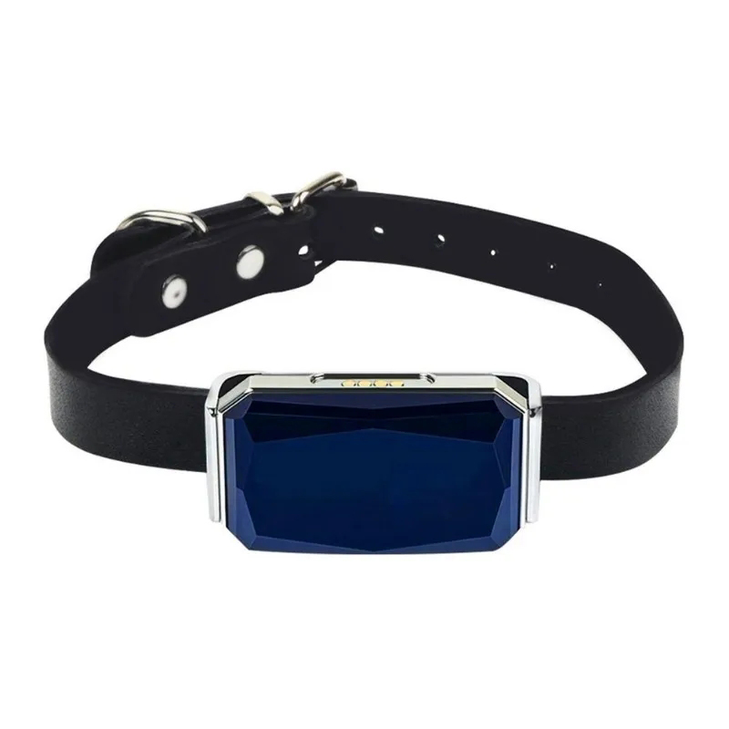 G12 G12p G12s 2G GSM ペット GPS トラッカーロケーター首輪グローバル防水 IP67 猫犬 GPRS 位置特定追跡装置