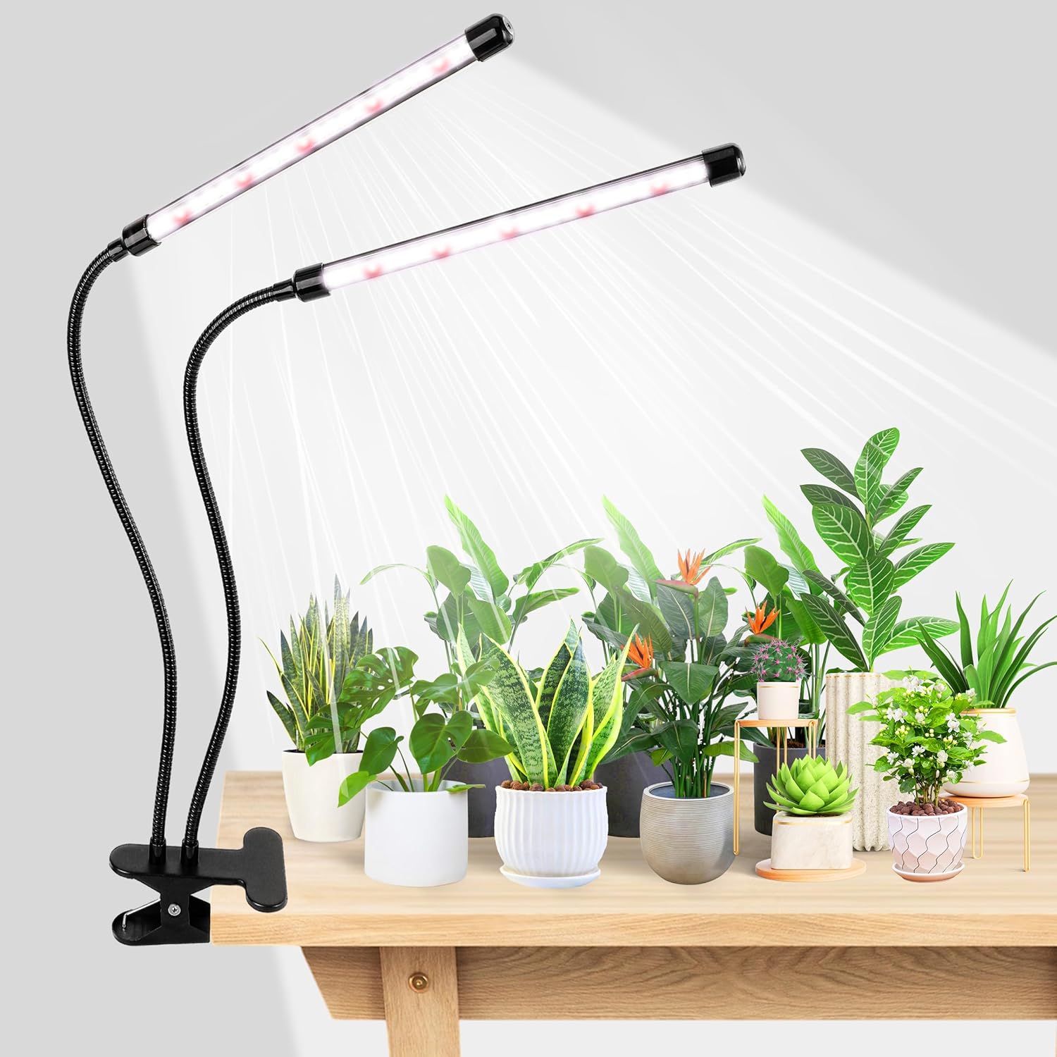 LED USB 成長ライト白赤 Phytolamp 植物制御フルスペクトル Fitolamp ライトホーム花苗クリップ Phyto ランプ