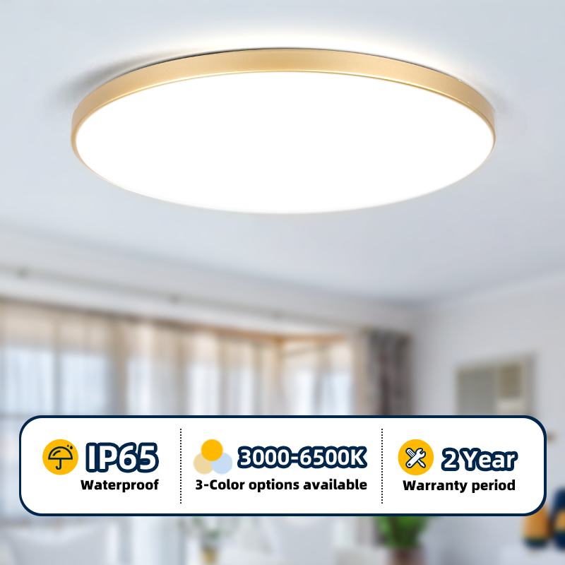 防水 Led バスルームランプシーリングライト LED 天井 18 ワット 30 ワット 40 ワットゴールド天井ランプラウンドキッチンリビングルームトイレ 220V