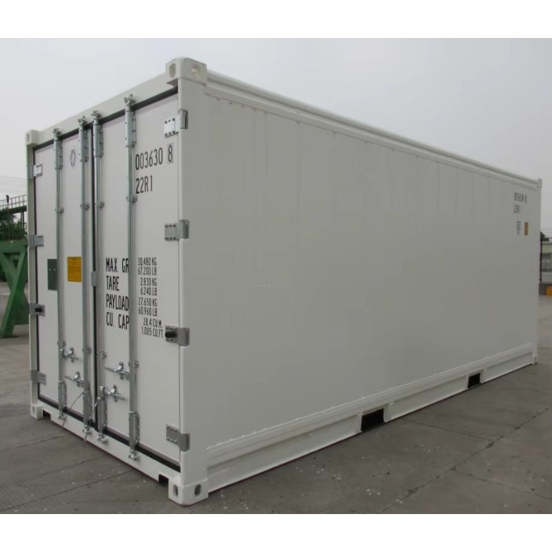 20ft 40ft Container Reefer Freezer PU Panel Vegetable Cold Storage Chiller Room