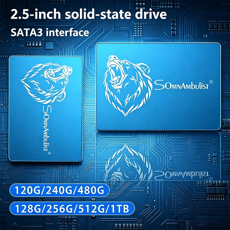 SomnAmbulist 2.5 インチ SATA SSD – 120GB ～ 1TB 高速内蔵ソリッド ステート ドライブ (ラップトップ/デスクトップ用)