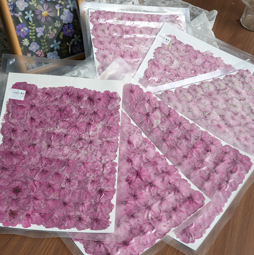 春桜ドライフラワー押し花本物の植物標本樹脂フォトフレームブックマーク香りキャンドル DIY 手作り 1000 個大パッケージ