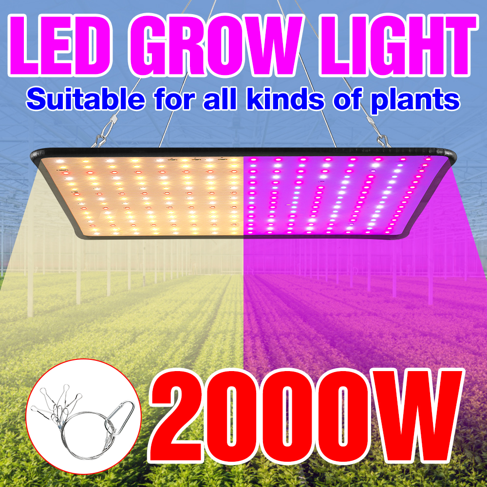 LED 植物成長ライトフルスペクトル量子ボードフィトランランプ屋内水耕温室テント成長ボックス花栽培ランプ