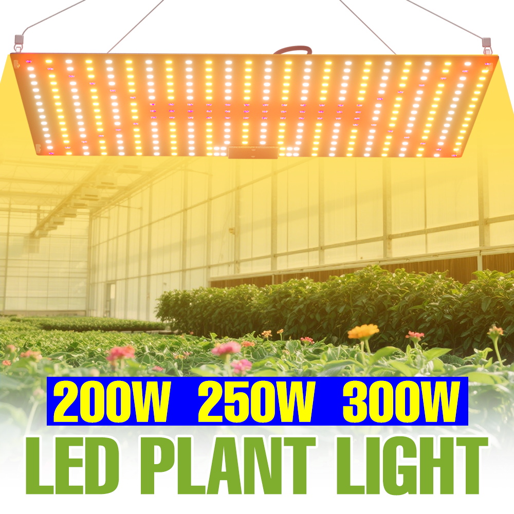 300 ワットフルスペクトル LED 成長ランプ 110V 量子ボード植物フィルランプ温室水耕野菜多肉植物栽培米国/EU プラグ
