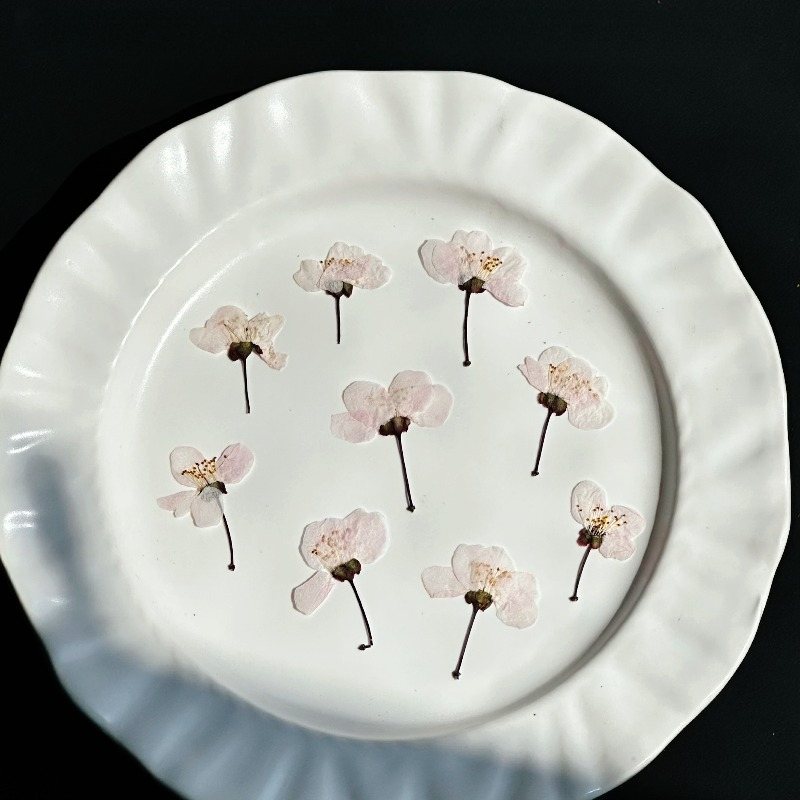 24 個、天然野生桜の押し花本物のドライフラワー DIY エポキシ樹脂工芸ブックマーク子供の手作り材料