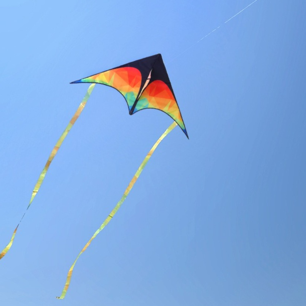 カラフルなダブルテール大型デルタ凧ロングテール良い飛行簡単な凧 50 メートルライン子供用凧子供