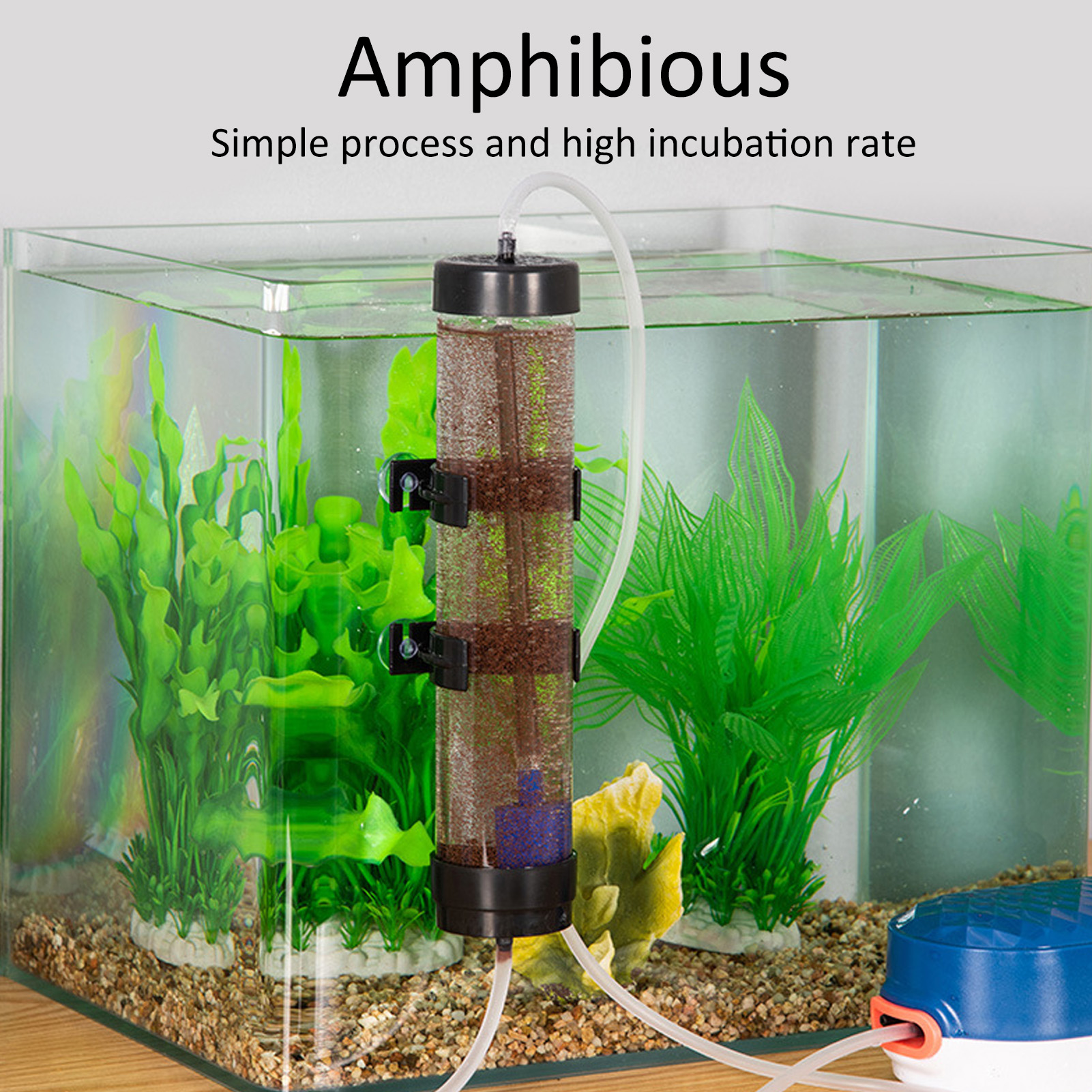 Artemia 卵孵化キット魚孵化ツールエビ孵化器エビ卵孵化器キット水族館魚孵化ツール