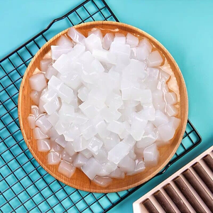 天然ココナッツゼリー（ナタ・デ・ココ）メーカー――袋入り天然フルーツ風味のココナッツゼリー。フルーツカクテル、ヨーグルト、飲料工場向け