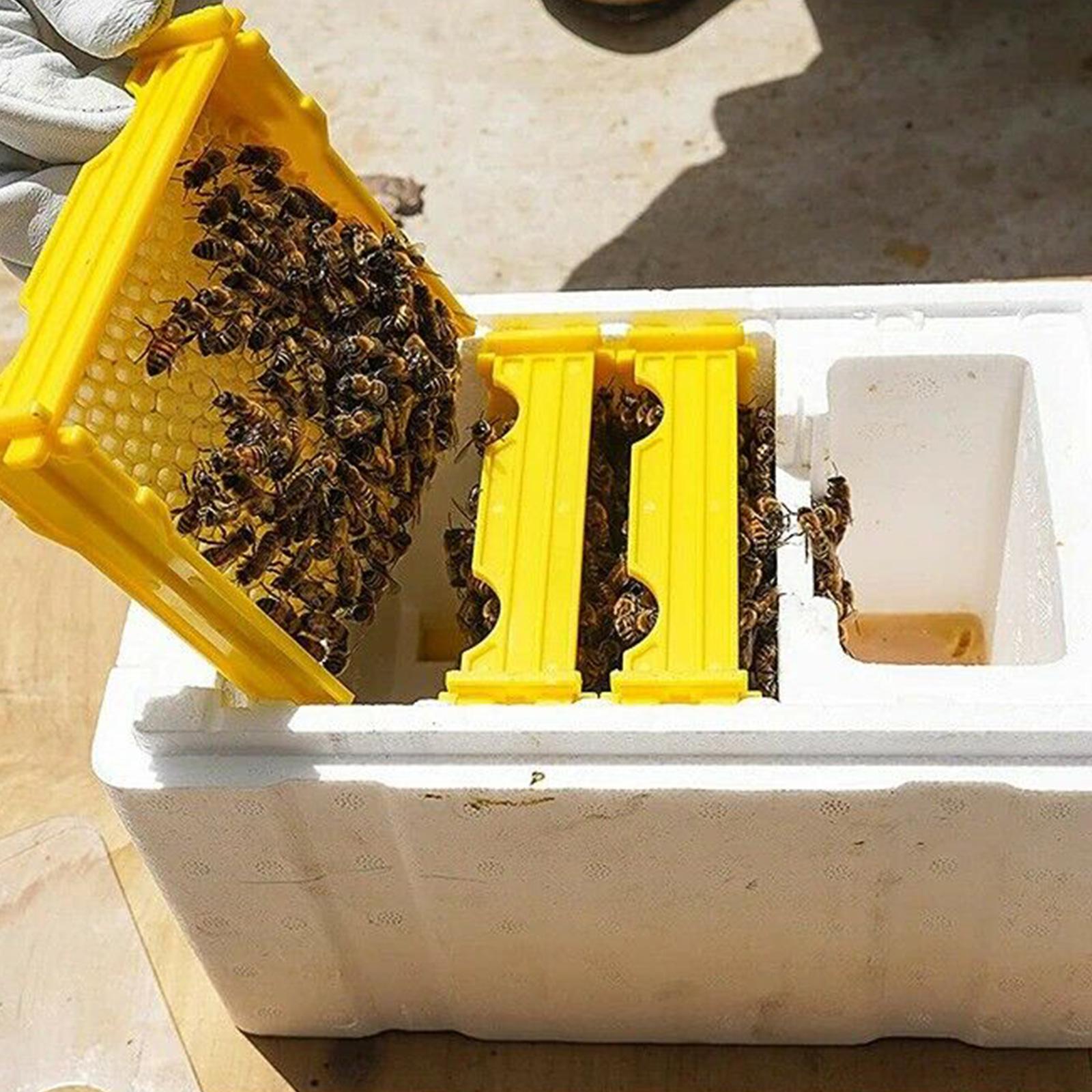 女王蜂飼育箱蜂飼育交配箱泡蜂の巣受粉箱養蜂ツール飼育ケース養蜂機器