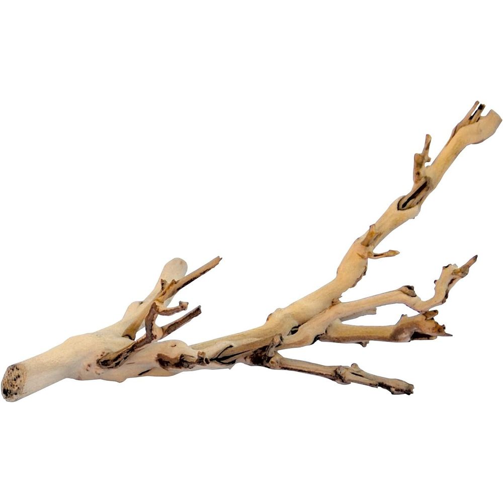 爬虫類や小型ペット用のミニチュアウッドランドテラリウムアクセサリー