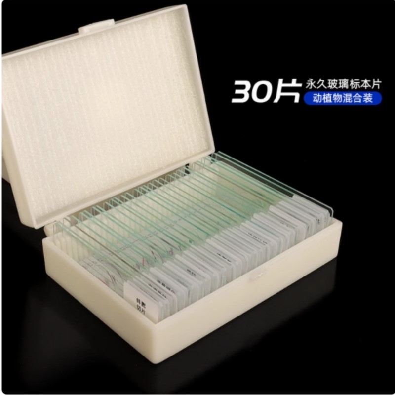 Biology 30-200PCS Prepared Biological Basic Science Microscope Glass Slides School and Laboratory English Label Teaching Samples