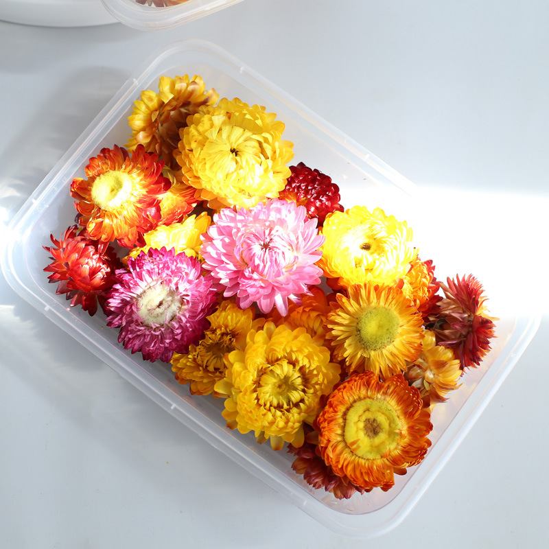 20 ピース/箱有機マルチカラーイチゴ結婚式の装飾紙吹雪花屋供給 DIY 供給セット 20