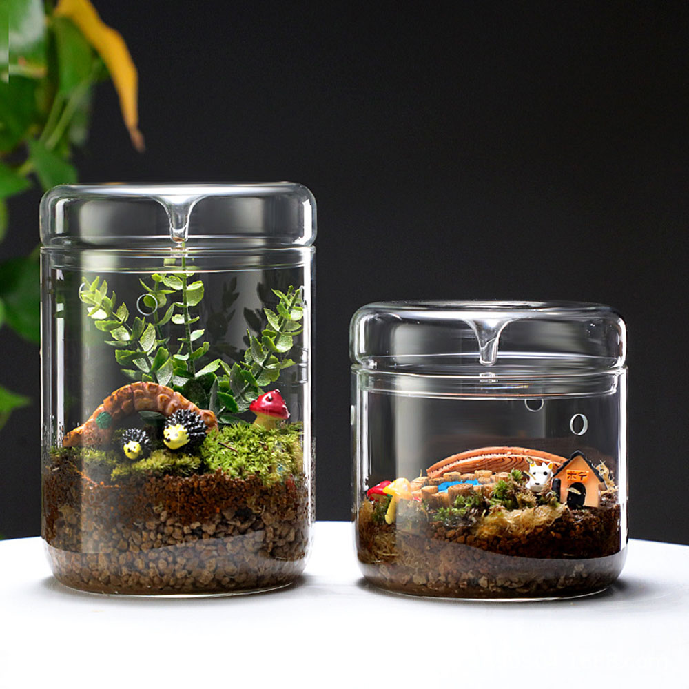 ガラスボトル創造露コレクションガラス花瓶マイクロ風景多肉植物苔万歳風景ガラステラリウム家の装飾