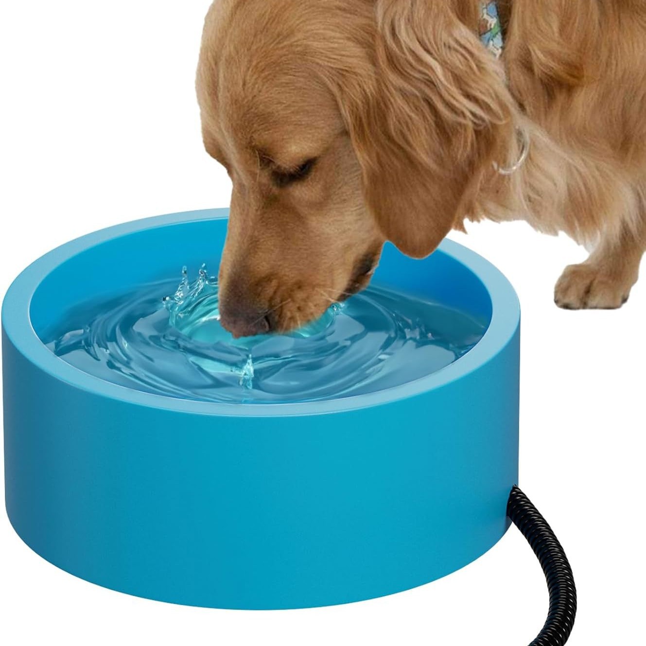 ペット恒温加熱飲料ボウル猫犬水ボウル加熱飲料ディスペンサー犬猫鶏アヒル給餌ツール
