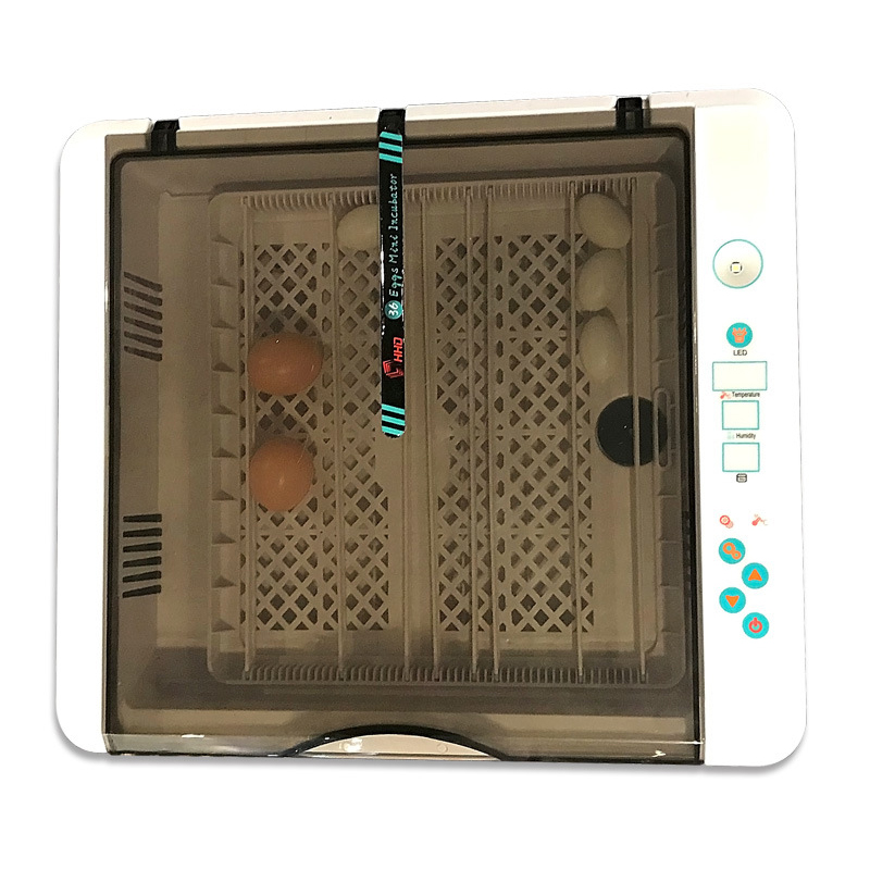 36 鶏インキュベーター EW-36 ニワトリ、アヒル、鳥のインキュベーター、繁殖インキュベーター機器、卵インキュベーター