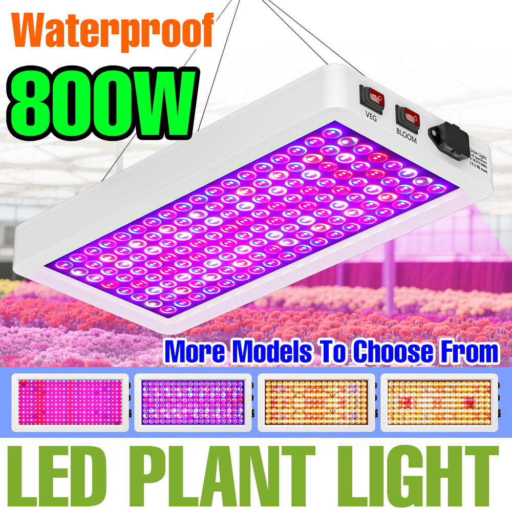 800 ワット LED 植物成長ライトフルスペクトル温室テント野菜鉢植え花水耕栽培ランプ IR UV フィル照明
