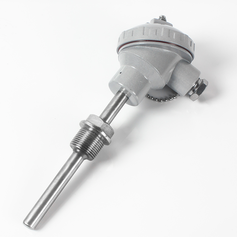 装甲温度センサー PT100 タイプ 100C 200C 400C 600C 温度トランスミッタ 4-20mA G1/4 スレッド温度トランスデューサ