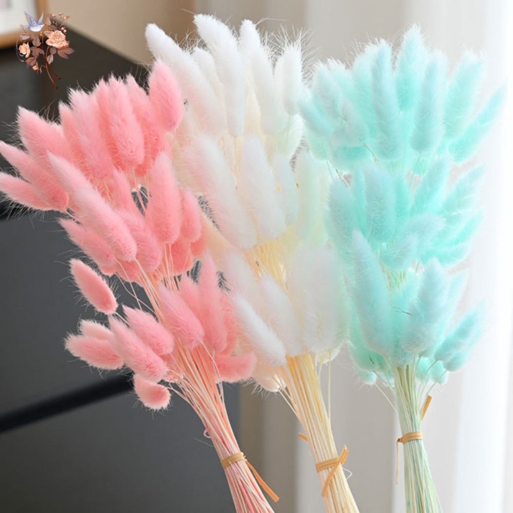 150pcs Bunny Tails Grass Dried Flower Bouquet for Vase Home Interior Table Decor Natural Floral Wedding DIY Material Accessories