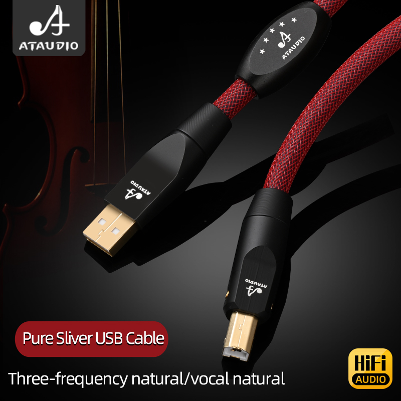 HiFi USB オーディオ ケーブル ハイエンド ピュア シルバー USB A to B DAC デコーダー アンプ オーディオ信号ライン タイプ C to B サウンド カー ケーブル