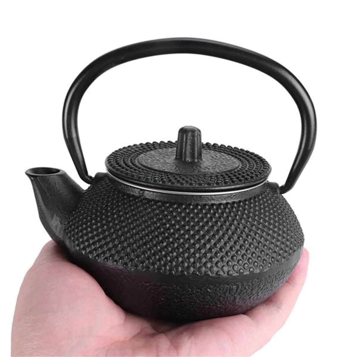 AD30-鉄ティーポット ステンレス鋼注入器付き 鋳造日本鉄ティーポット ウーロン茶 プーアル茶 やかん 300ML