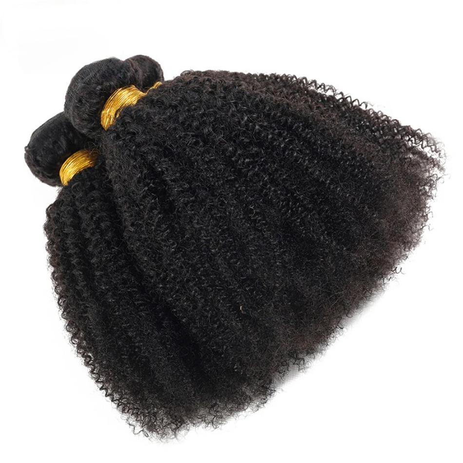 100 グラム/PC モンゴルアフロ変態カーリー人毛バンドル 1/3 PC セットダブル横糸ヘアエクステンションナチュラルカラーフルエンドバージンヘア