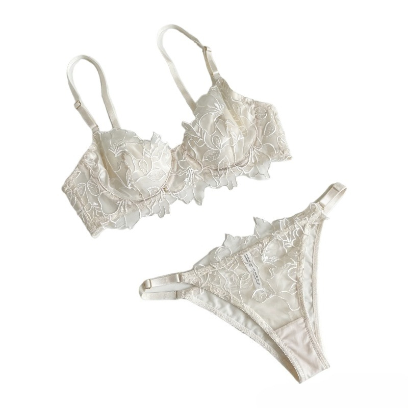 Women‘s Push Up Lingerie Set | Lace Embroidered Mesh Bra & Panty for Small Bust, Soft Underwire Padded Demi Cup BANERDANNI TUSHY