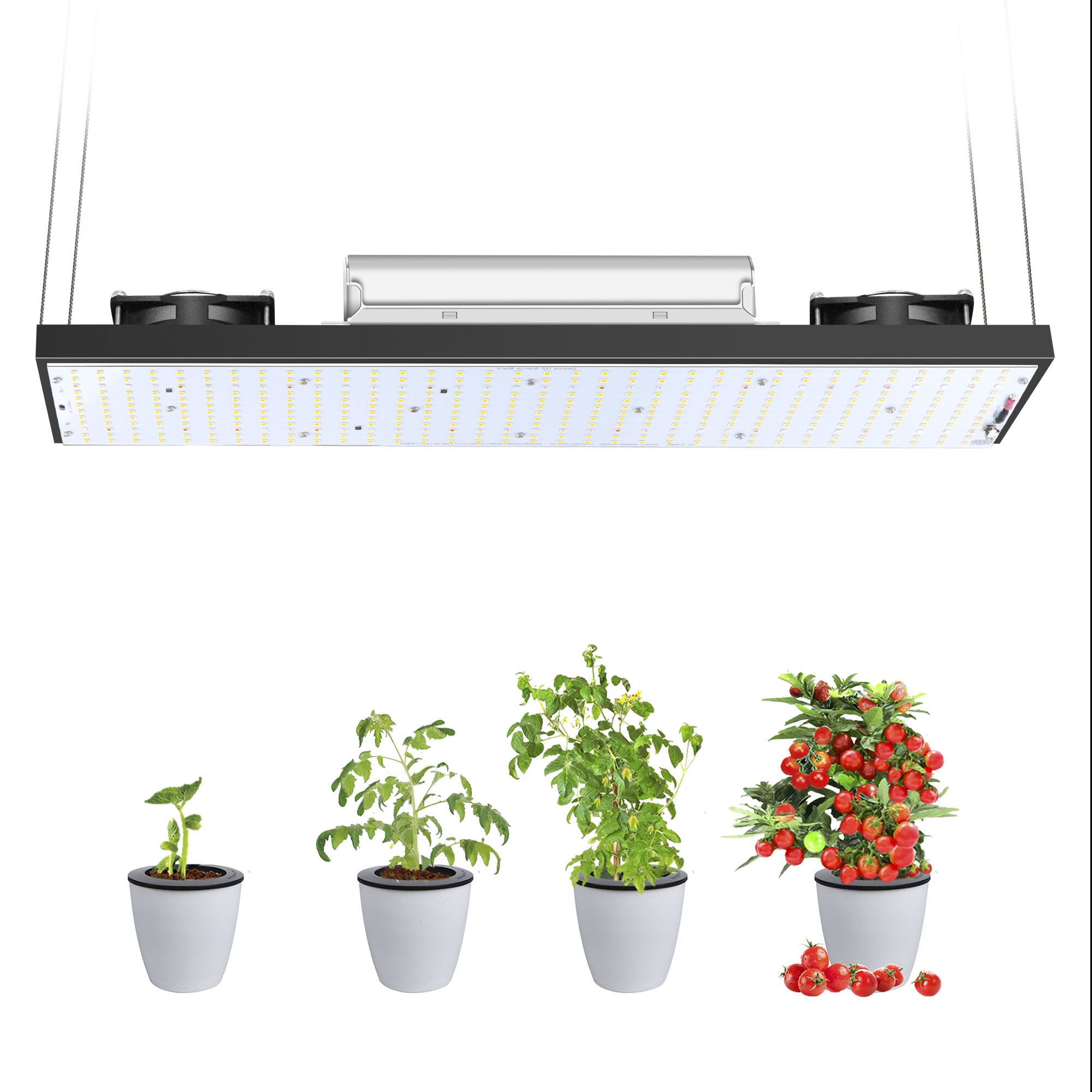 Sam-sung LM301H 量子 LED 成長ライトバー フルスペクトル 3000K-6500K 調光可能な Meanwell 240W ドライバー XLG-240-H-AB
