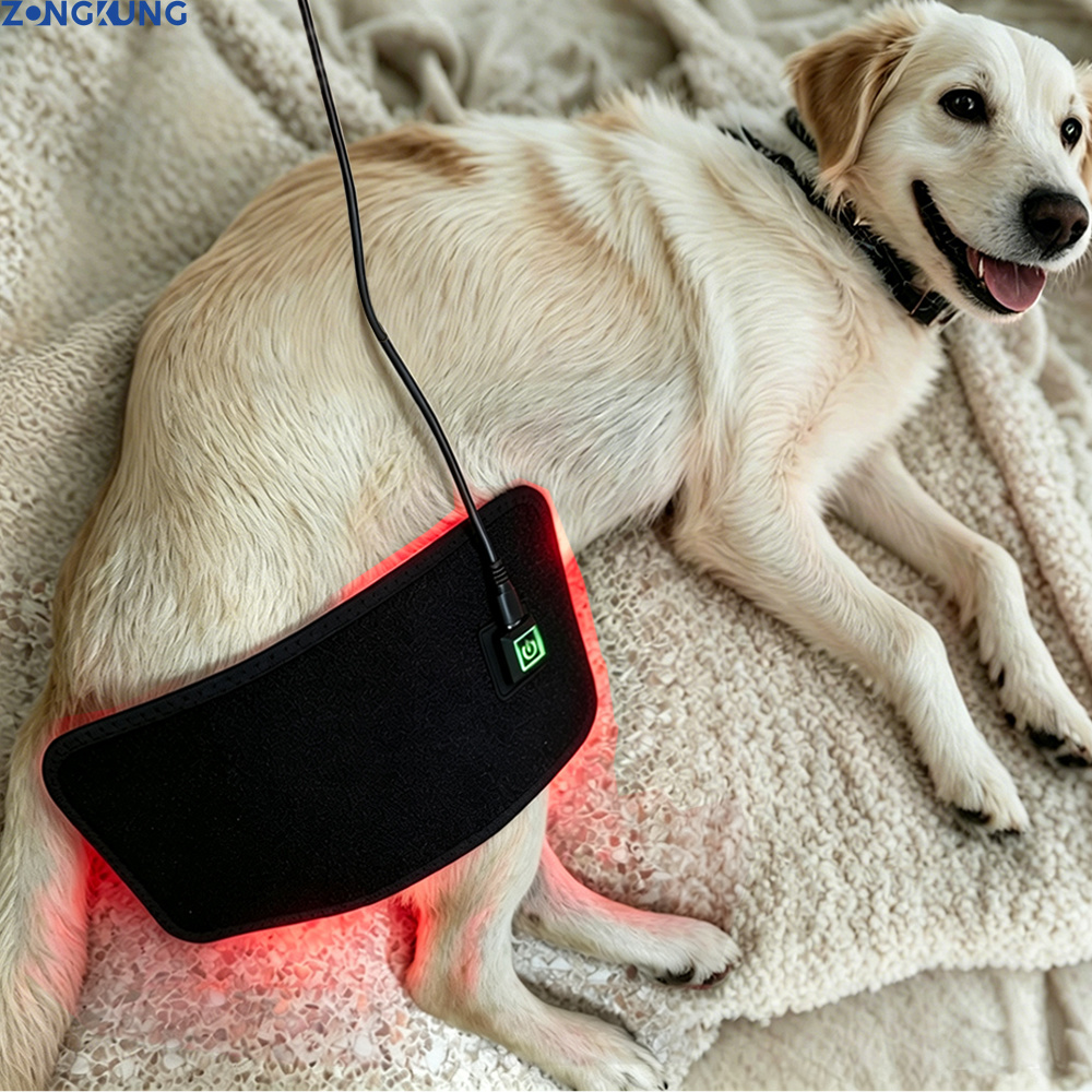獣医使用赤色光 LED 療法理学療法機器ペットの犬の鎮痛痛みを軽減