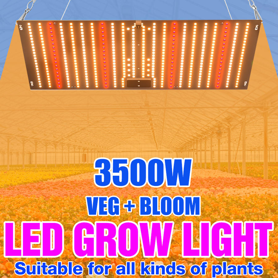 3500 ワット Led 成長ライト植物ランプ植物電球フルスペクトル量子ボード水耕温室花種子成長ランプ