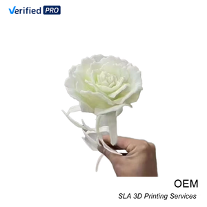 少量生産のカスタム樹脂製玩具モデルの試作、SLA/SLS 3Dプリント、精密表面研磨、高精度。最小注文数量：1個（3～7個）。