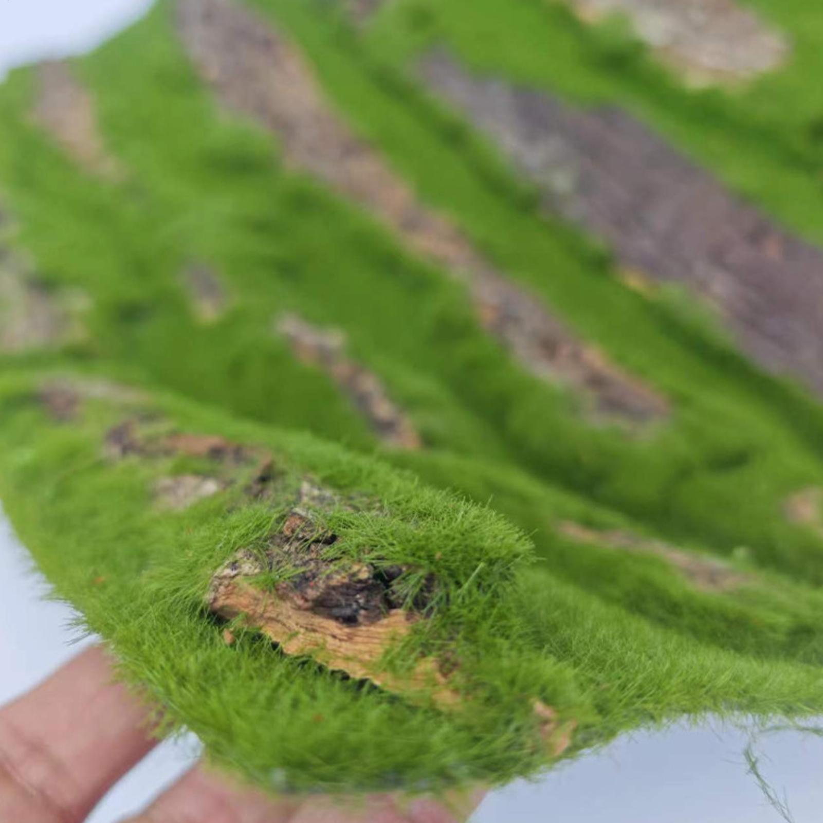 爬虫類テラリウム背景装飾登山木の樹皮装飾人工苔ヤモリトカゲカメ生息地の装飾