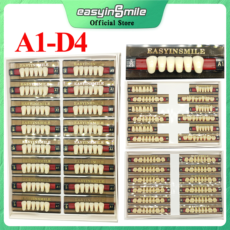 84/96 個歯科樹脂歯アクリル合成義歯 A1 A2 A3 シェード 2 層アクリル義歯教育モデル上部/下部 A1-D4