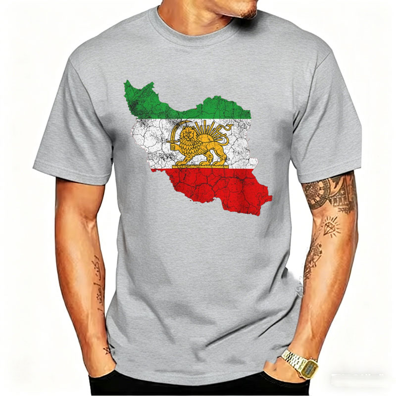 傷ついたイラン地図ライオン
