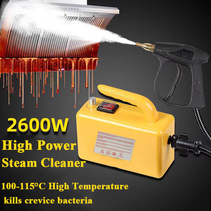 2600 ワット家庭用スチームクリーナー高温滅菌空調キッチンフードカー家電スチーム洗浄機 220V