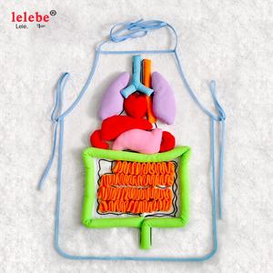1～3歳児向け知育モンテッソーリ玩具 人体内臓エプロン 教材 3D描画ボード
