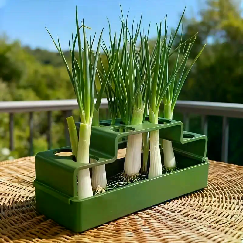 繰り返し成長できる水耕栽培システムを備えたネギ専用の植付装置 1 個