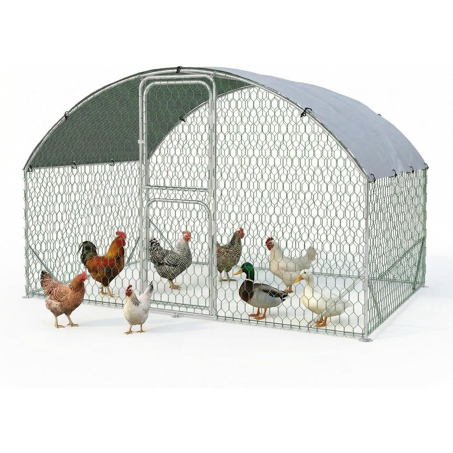 大型金属鶏小屋ウォークイン家禽ケージ 9.8 x 6.5 x 6.5フィート鶏小屋実行ペンハウス 二重ドア付き