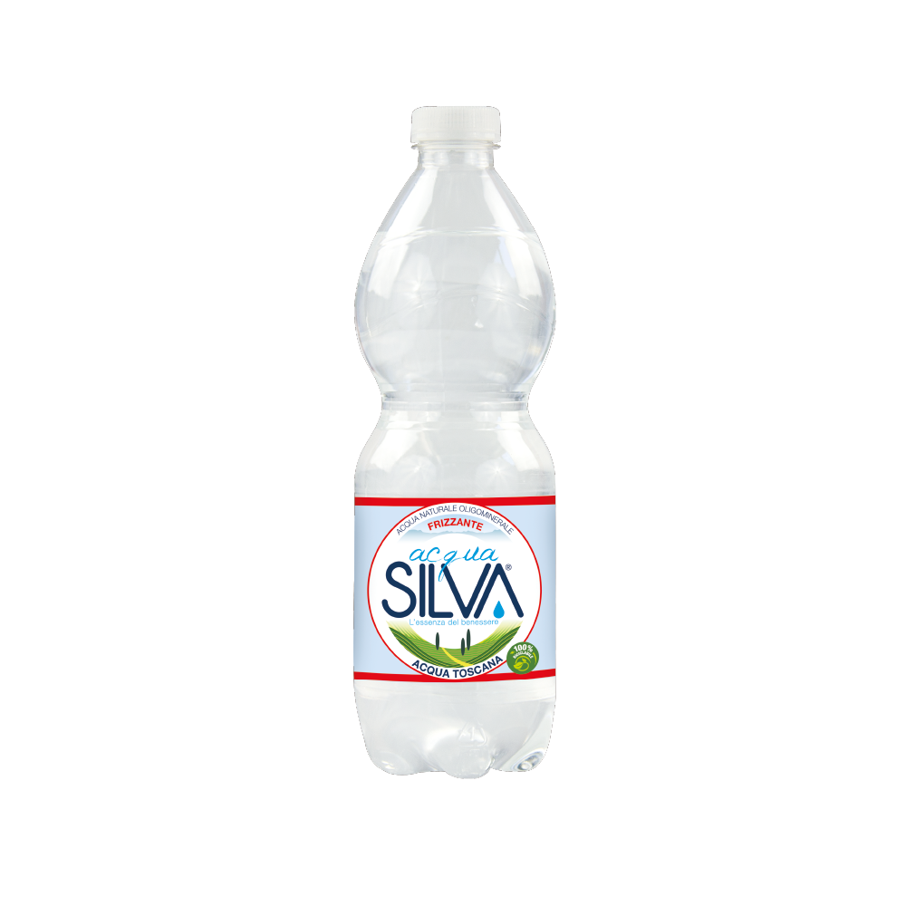 Acqua Silva 0.5L Sparkling Italian Mineral Water
