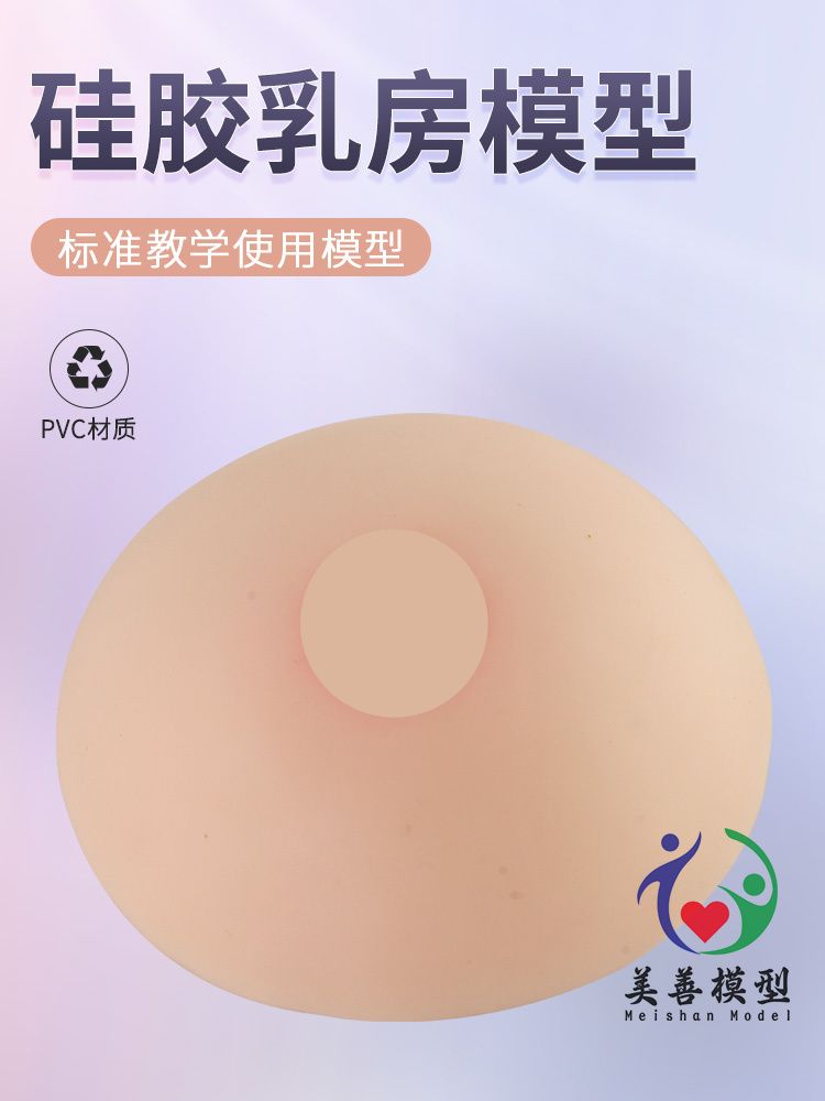 教育用乳房モデル、授乳教師トレーニング小道具、授乳教育モデル、シリコン偽乳房、医療教材