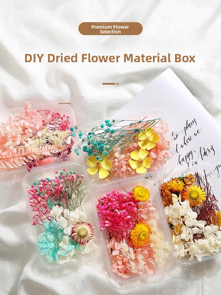 ドライフラワー DIY 材料キット 永遠の花 造花 本物の花 ドライ フルーツ 装飾 手作り ファン 標本 オーナメント...