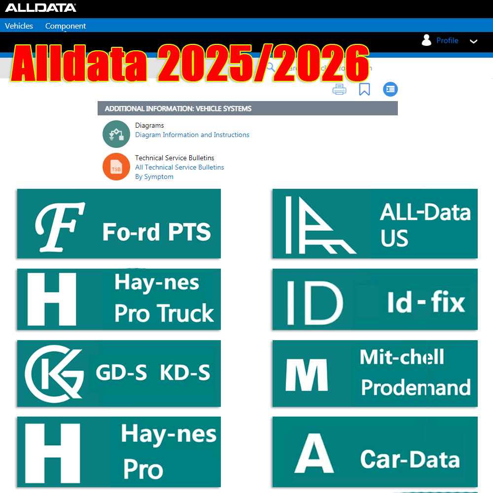Alldata Car-Data の 2026 オンライン アカウント Car-Data All Data 用の最新の自動車修理ソフトウェア EU Hay-nes PRO サポート モバイル/PC ログイン